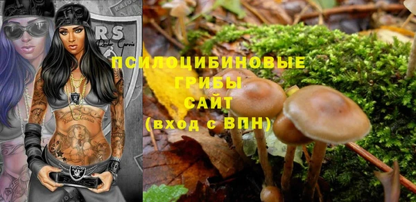 амф Арсеньев