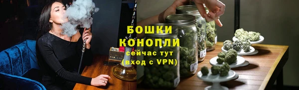 амф Арсеньев