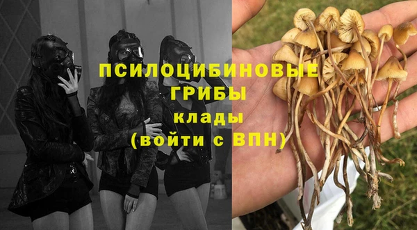 не бодяженный Армянск